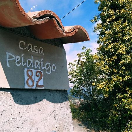 Casa Peidaigo Immersa Nel Verde,Vista Mare E Monti ヴェンティミーリア エクステリア 写真