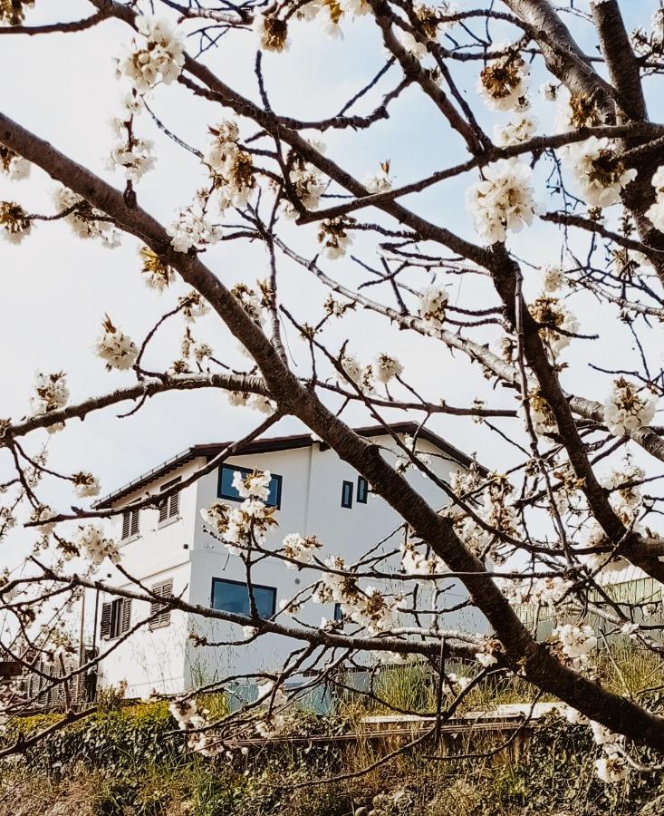 Casa Peidaigo Immersa Nel Verde,Vista Mare E Monti ヴェンティミーリア エクステリア 写真